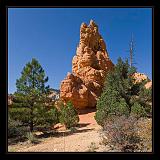 Red Canyon 04